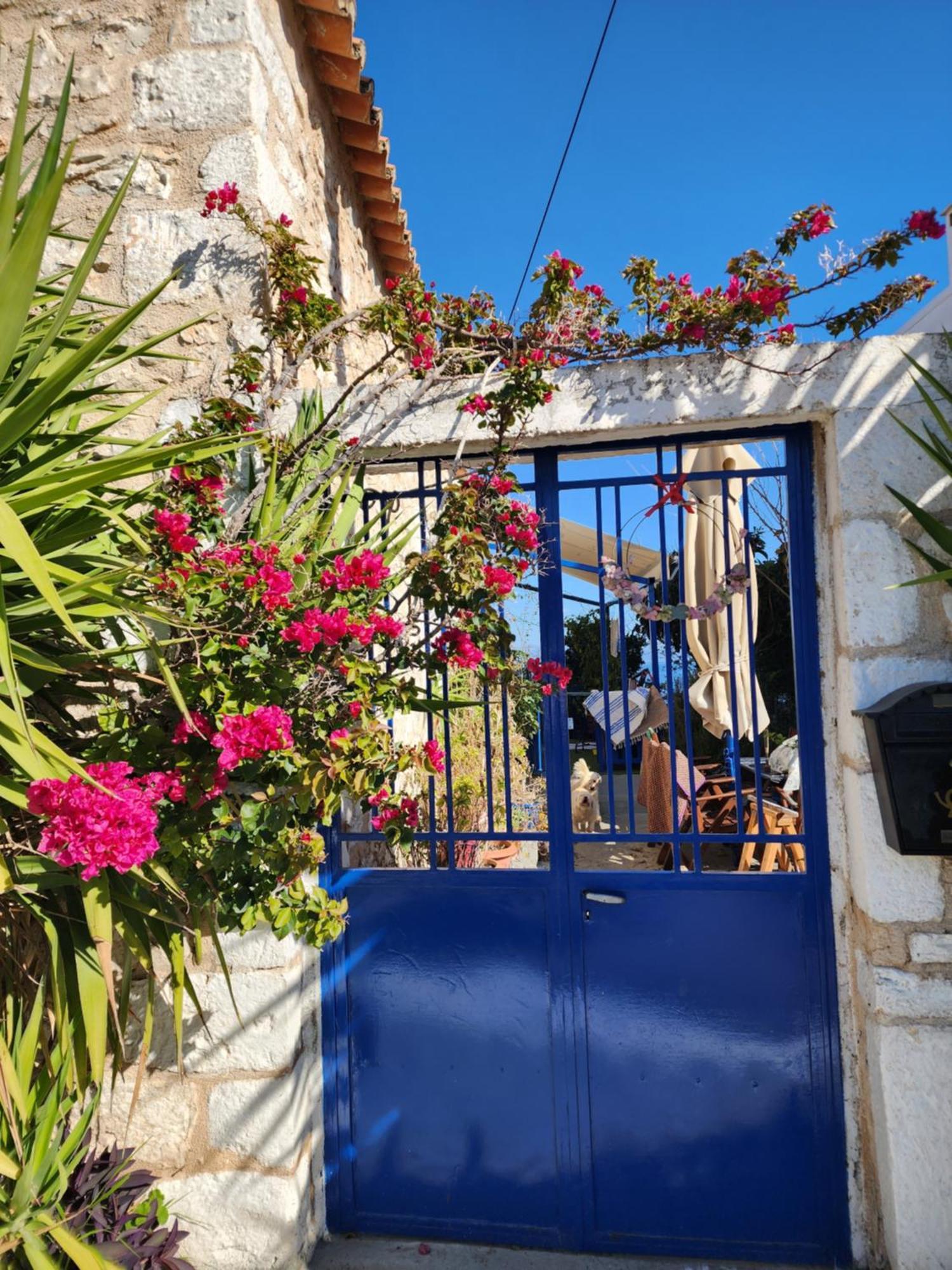85 Sqm Apartments New Panorama Electric Car Φωρτησησ Station Parálion Ástros エクステリア 写真