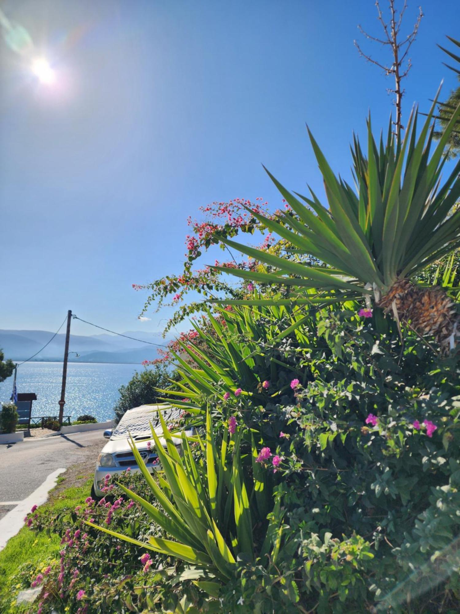85 Sqm Apartments New Panorama Electric Car Φωρτησησ Station Parálion Ástros エクステリア 写真
